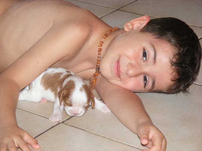 Chiots 2012
